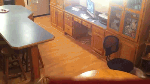 Intelect and cookies