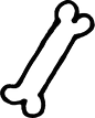 Bone5